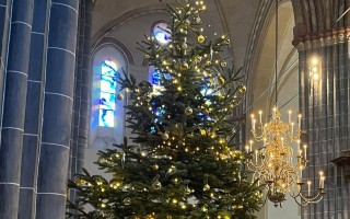 Kerstgroet 2025: Onzekere tijden