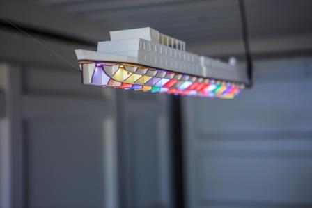 Ms Universal kleur verkleind Ms Universal kleur verkleind