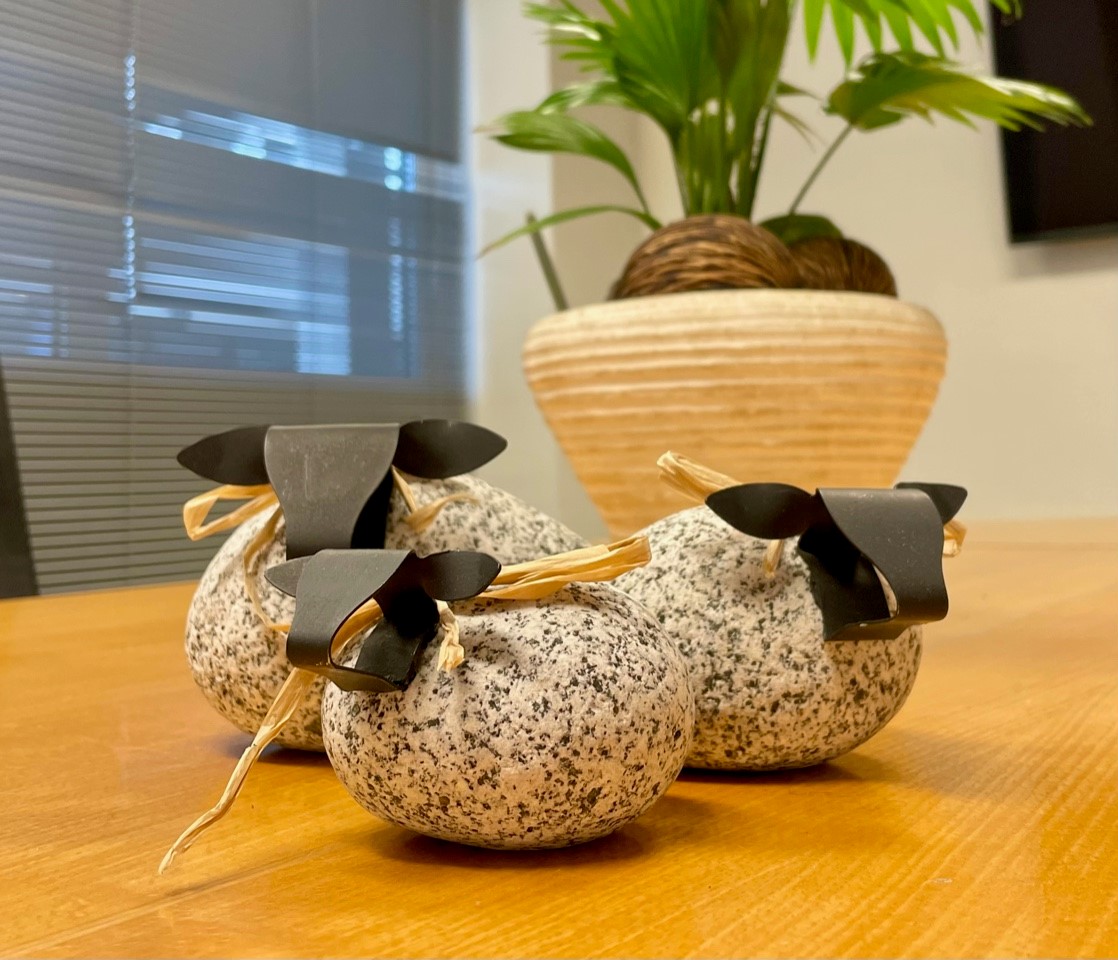 Schaapjes - bij KBA mrt 2024 Schaapjes - bij KBA mrt 2024